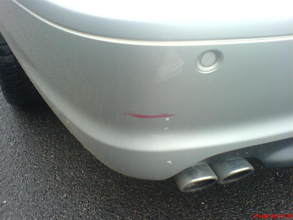 DSC01557 (Large).JPG