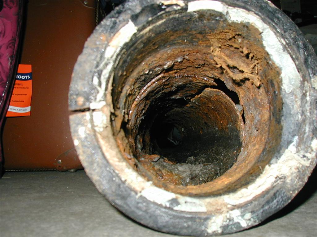 P5080016 (Large).JPG