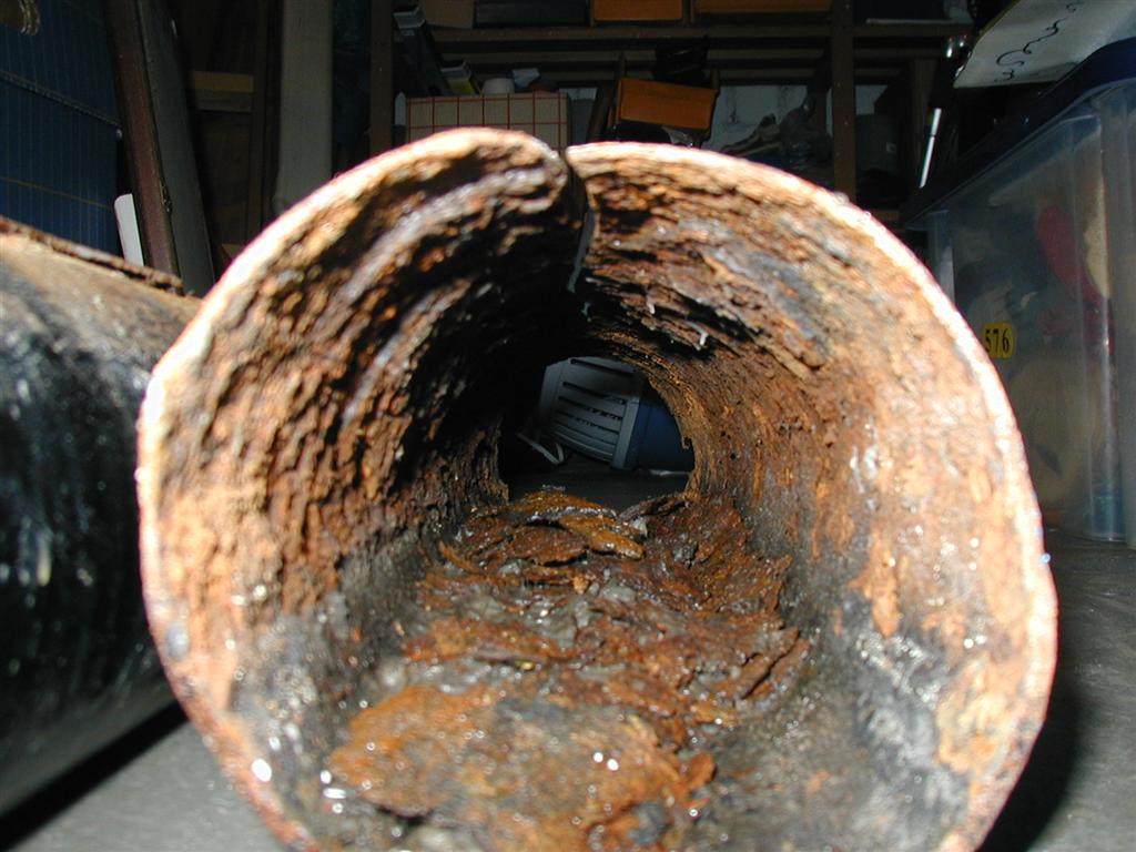 P5080017 (Large).JPG